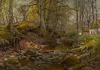 Arroyo forestal