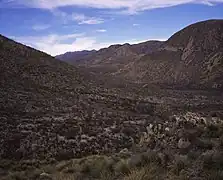 Leslie Canyon