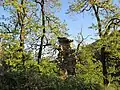 Casa en ruinas