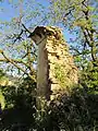Casa en ruinas
