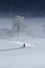 Una pista recreativa de esquí de fondo, preparada solo para esquí clásico, en Tirol.