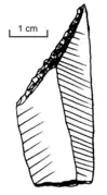 Punta de Adelaida
