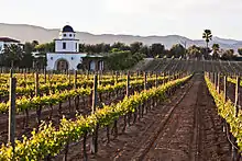 Valle de GuadalupeClima mediterráneo de verano caliente (Csa)