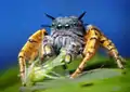 Phidippus mystaceus