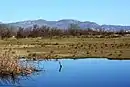 Aiguamolls de l'Alt Empordà