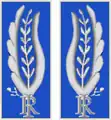 Insignias de chaqueta para agentes y asistentes