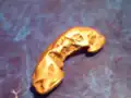 Una pepita de oro de la mina Blue Ribbon en Alaska.