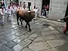Festa do Boi de Allariz