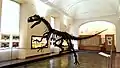 Museo de Paleontología.