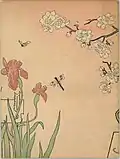 Almanaque de La Ilustración Española y Americana 1905 contraportada