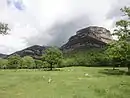 Alta Garrotxa - Massís de les Salines