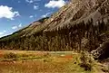 Valle de Kucherlá, Altái