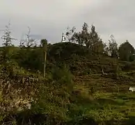 Alto de la Mina