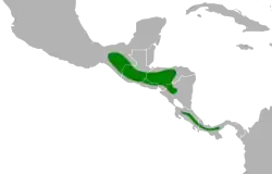 Distribución geográfica del semillero azul.