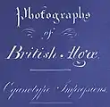 Detalle de la carátula de  Photographs of British Algae: Cyanotype Impressions