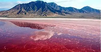 Irán