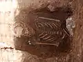 Detalle de uno de los cuerpos encontrados en la cata exterior.