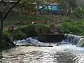 Un tramo del arroyo cruza  frente a la escuela.