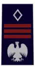 Divisa de Assistente capo coordinatore