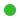 STR+1~G green + lBHF green