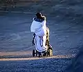 Madre inuit.