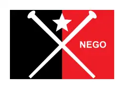 Bandera-insignia del gobernador de Paraíba.