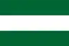 Bandera del departamento de Comayagua