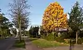 Bemmel, vista en la calle: la Ressensesstraat