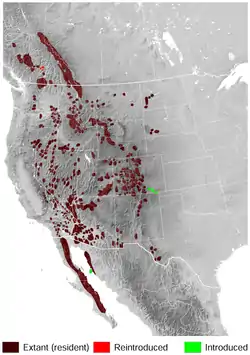 Rango de distribución del Borrego cimarrón.«Ovis canadensis». The IUCN Red List of Threatened Species. IUCN (International Union for Conservation of Nature). 2008. Version 2016-2. Consultado el 20 de noviembre de 2016. National Geophysical Data Center, 1999. Global Land One-kilometer Base Elevation (GLOBE) v.1. Hastings, D. and P.K. Dunbar. National Geophysical Data Center, NOAA. doi:10.7289/V52R3PMS [access date: 2015-03-16].