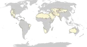 Distribución de los desiertos en el mundo.