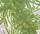 La biomasa total de bacterias puede ser igual a la de las plantas.