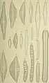 Dibujos de 1905