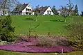 "Botanischer Garten der Universität Zürich nach Umbau".