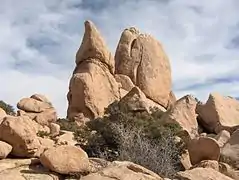 Berrocal, una formación geológica abundante en el parque.