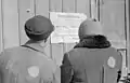 Círculos amarillos, Polonia, 1941