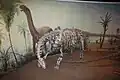 Camarasaurus