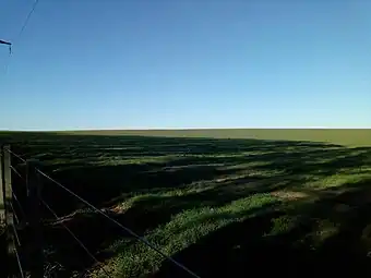 Campo en el partido de Coronel Rosales, provincia de Buenos Aires, Argentina