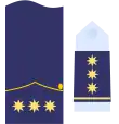 Divisa coronel Ejército del Aire.