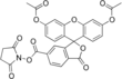 Imagen de la estructura