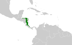 Distribución geográfica del cotinga níveo.