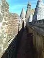 Muralla vista desde el interior y cubo