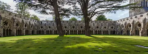 Claustro