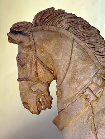 Cabeza de uno de los caballos
