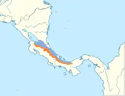Distribución geográfica del paragüero cuellicalvo.