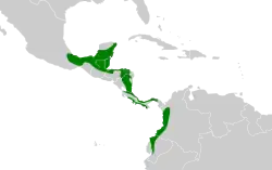 Distribución geográfica del saltarín cabecirrojo norteño.