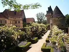 Rosaleda de Châteaux de Losse, Montignac-Lascaux (Dordogne).