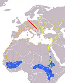 Rutas migratorias europeas/africanas.
                     Límite entre migraciones.                     Rutas occidentales.                     Rutas orientales.