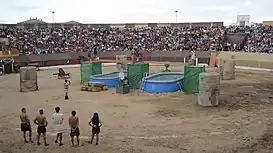 Fiestas de Astures y Romanos