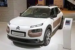 C4 Cactus