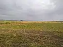 Complejo endorreico La Lantejuela